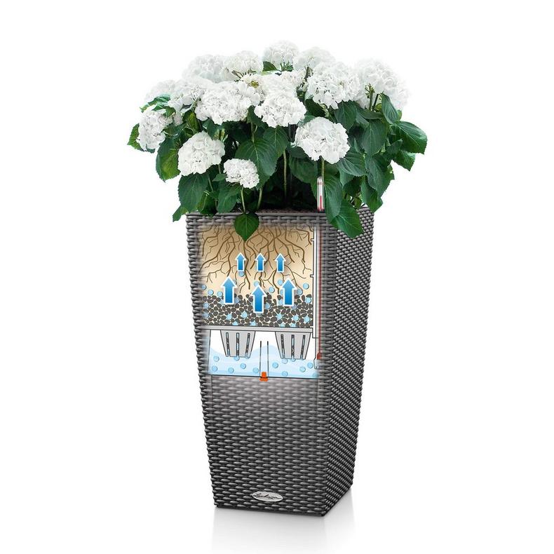 le_cubico-cottage_product_addi_sws